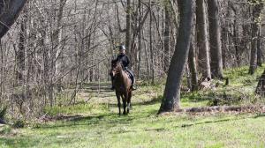 Kimberly Godwin Clark, Quick Chaos, Scout, Retired Racehorse Project’s Thoroughbred Makeover
